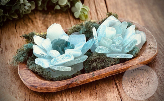 Sea glass Succulent