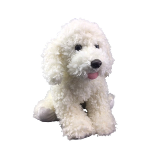 Build A Buddy & Paint A Home