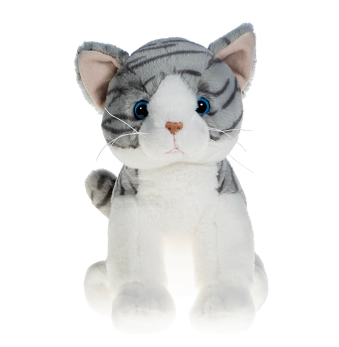 Build A Buddy & Paint A Home